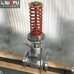 自力式壓力香蕉视频污在线观看：科技引領，壓力控製新篇章